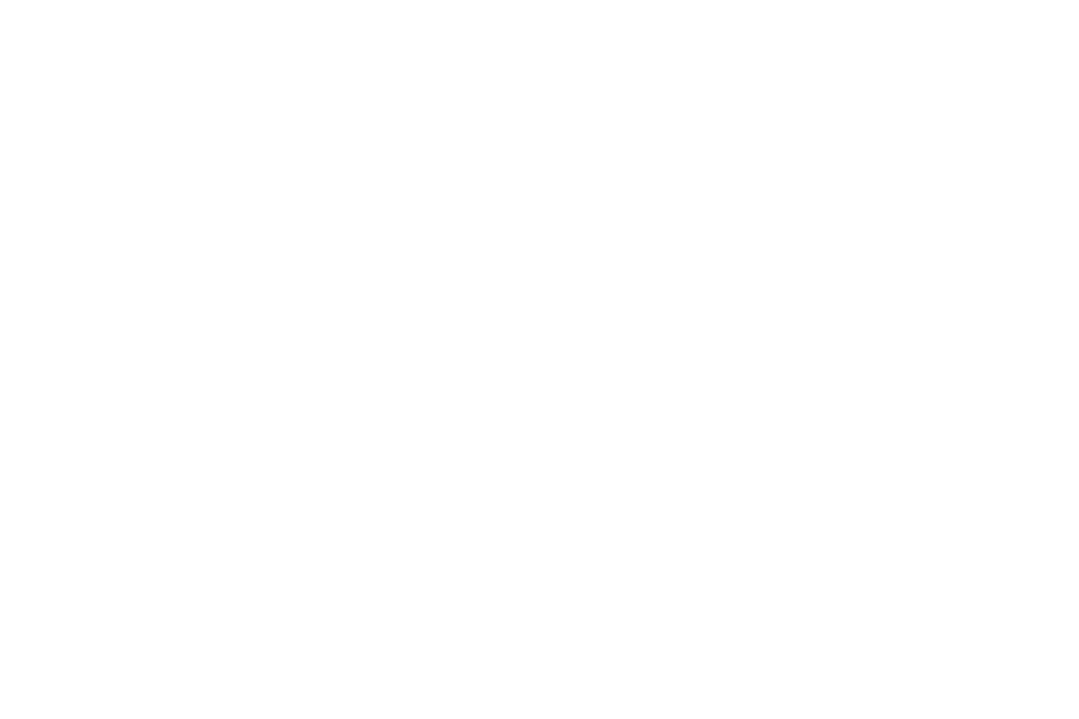 Exquisite Parking Services logo